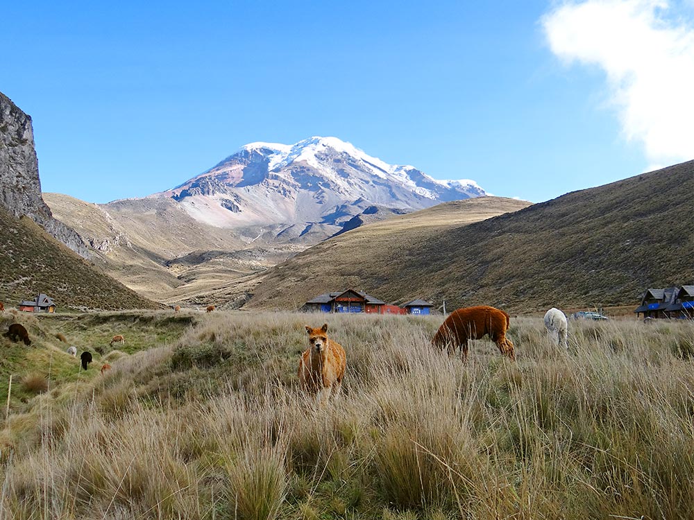 Cotopaxi Trekking Ecuador