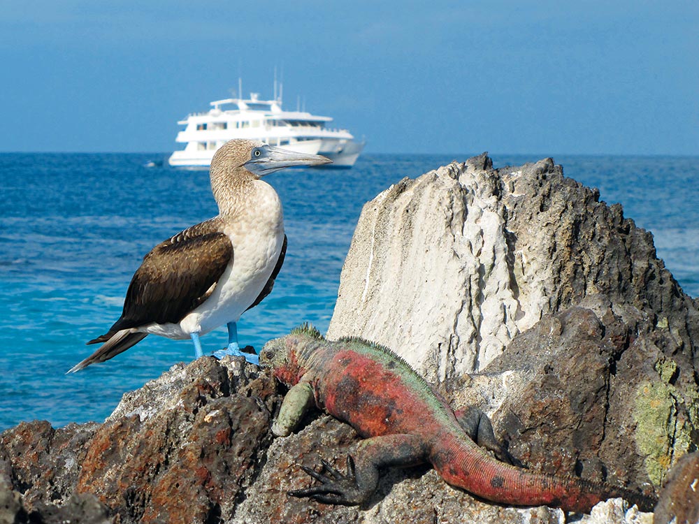 Galapagos Kreuzfahrt mit Trekking