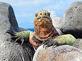 Galapagos Trekking